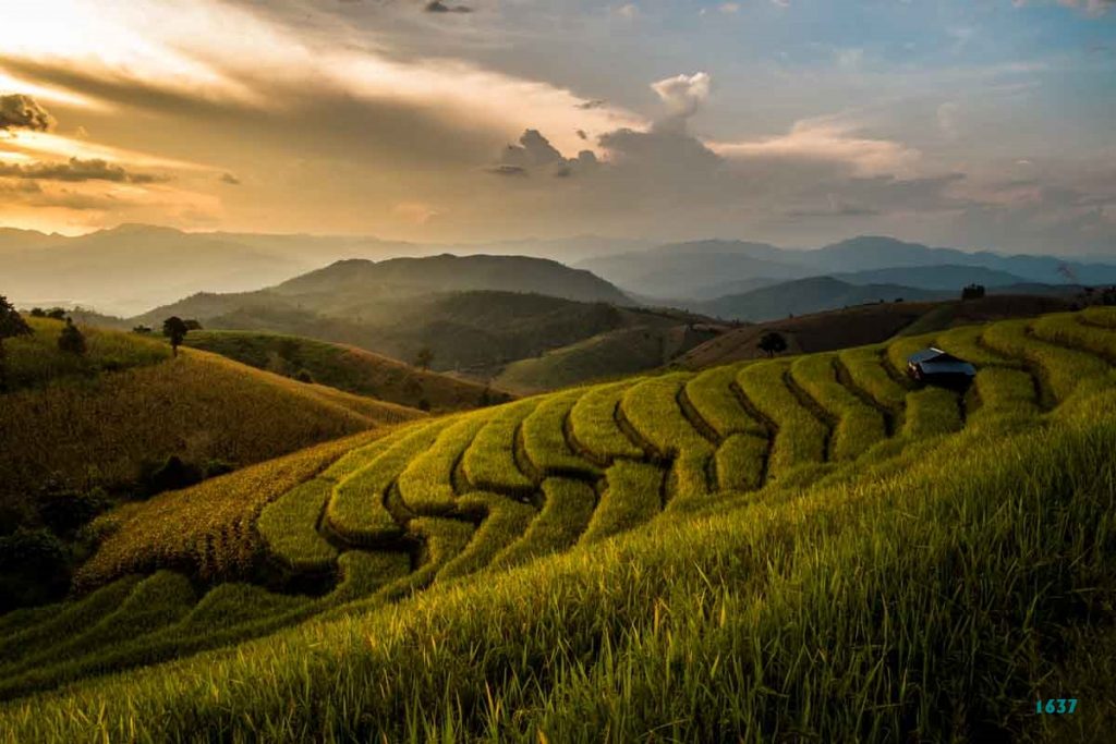 Tranh Dán Tường Phong Cảnh Mã 29